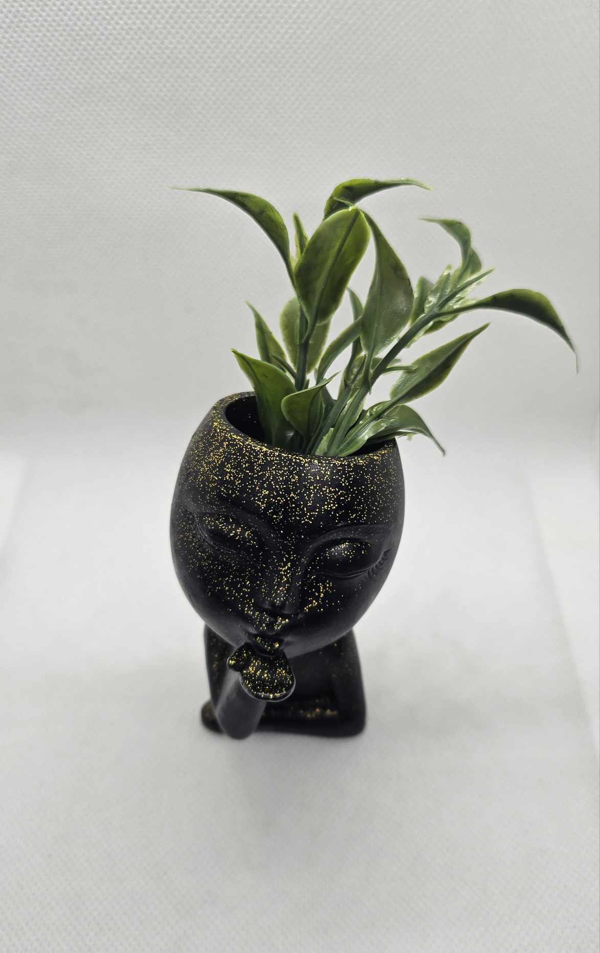Bise Botanique