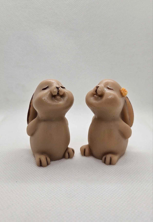 Duo Lapinou