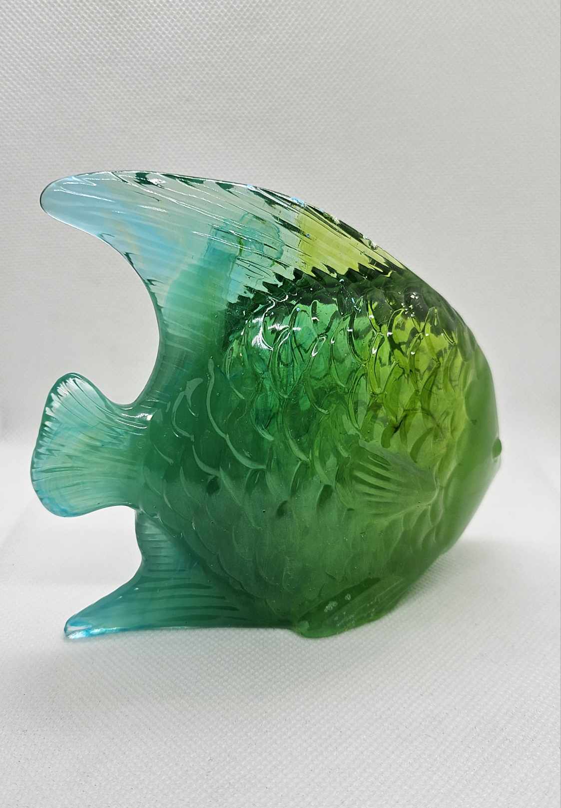 Poisson Paradis