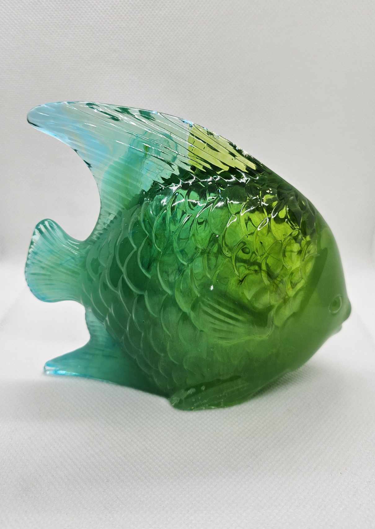 Poisson Paradis