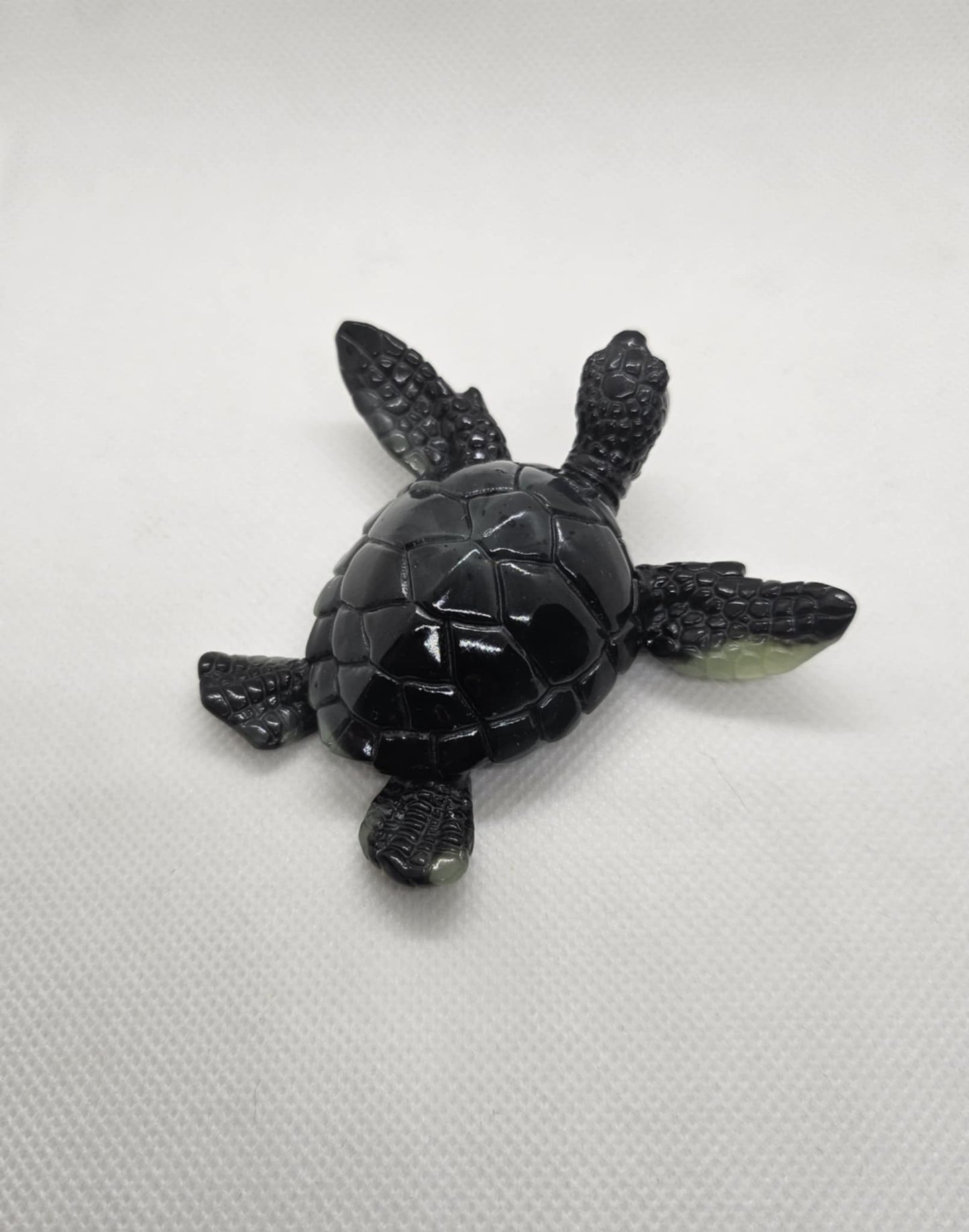 Tortue en Mouvement
